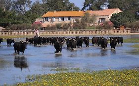 Manade des Baumelles